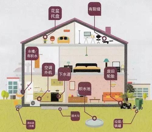 广州虫害消杀中心专业杀蟑螂公司教你蟑螂怎么消灭