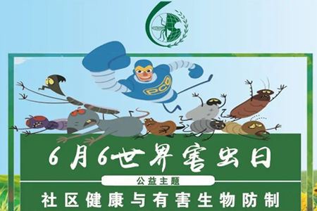 世界害虫日，疾控君教你如何消灭蚊虫！