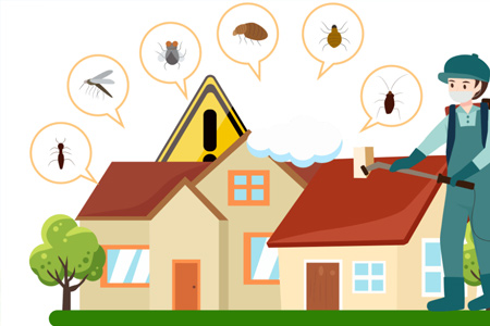 掌握防治知识 消除蚊虫危害